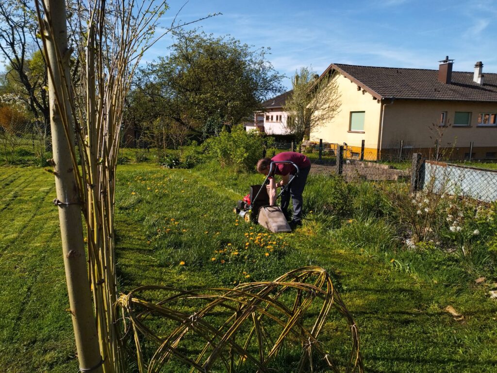 Ecole nature à Phalsbourg Saverne
